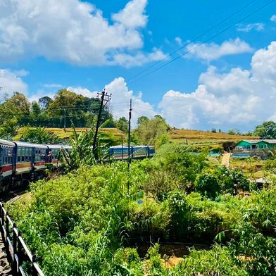 Treinrit langs theeplantages